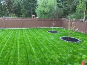Yard Maintenance Victoria BC
